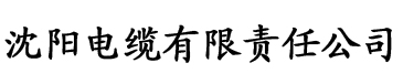 入赘的渣攻电缆厂logo